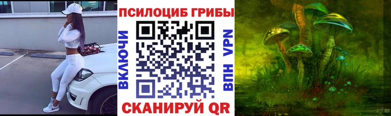 Галлюциногенные грибы ЛСД  Краснослободск 